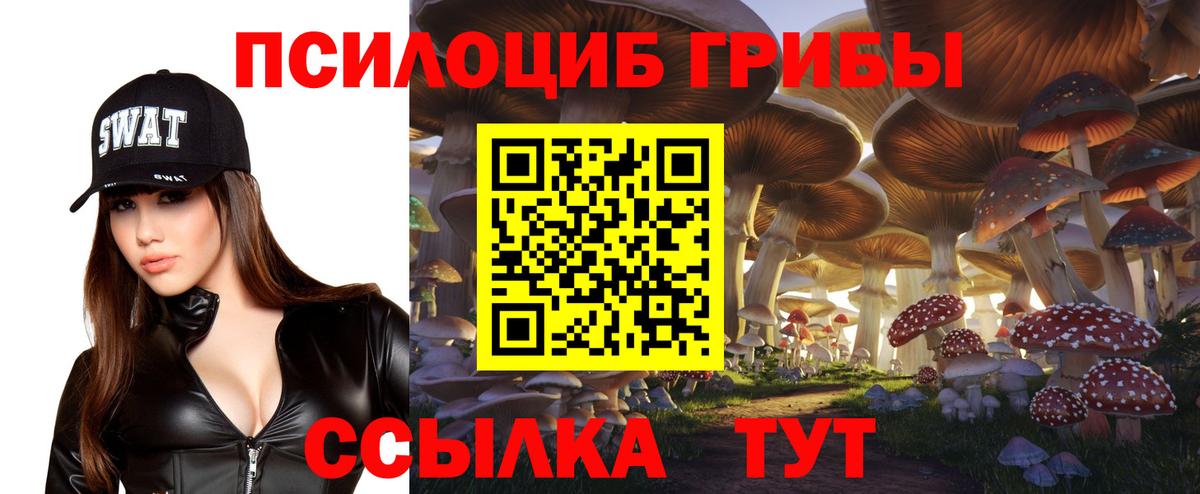 Псилоцибиновые грибы Psilocybe Феодосия